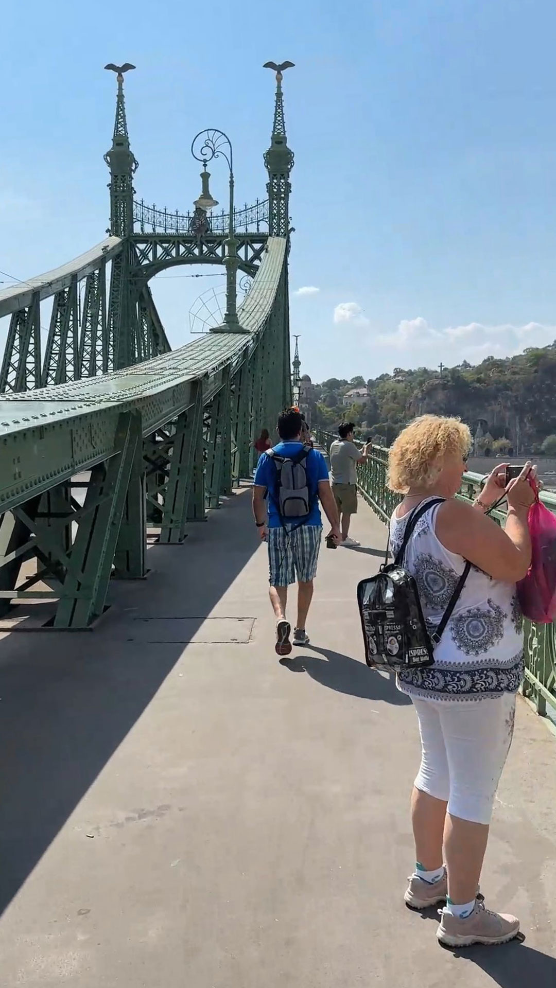 On the Green Liberty Bridge