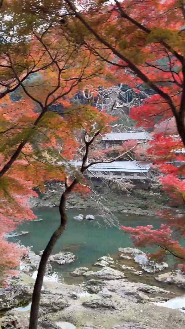 Sagano Sightseeing Railway