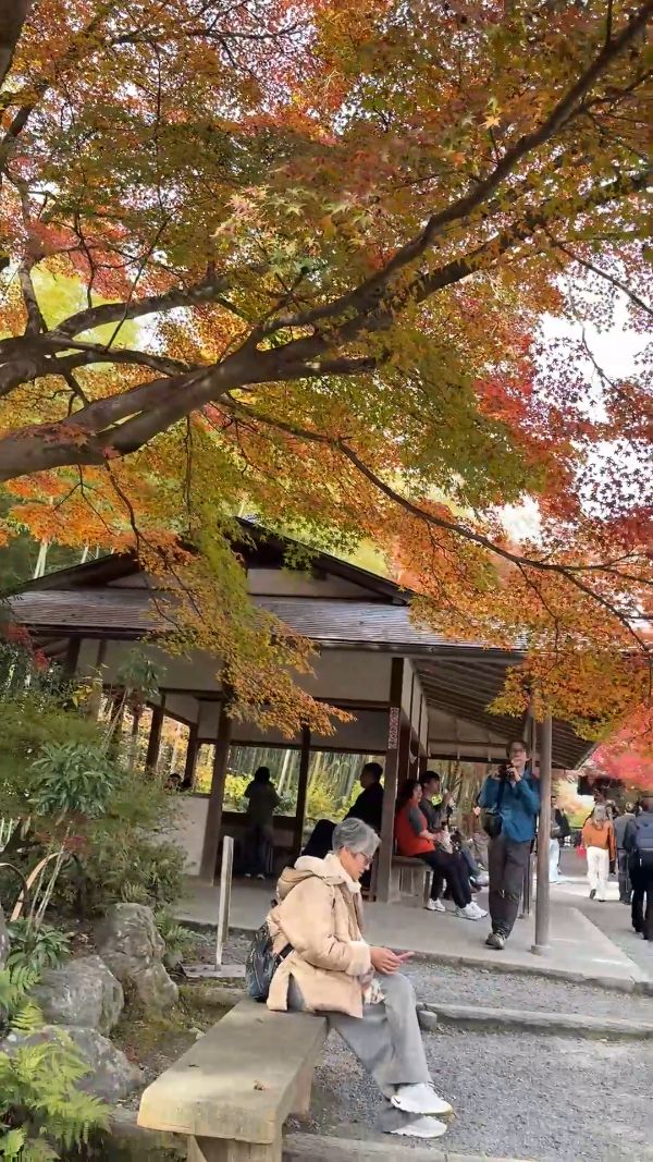 Tenryuji Temple in Autumn