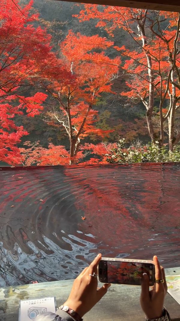 Yusai Pavilion, Arashiyama