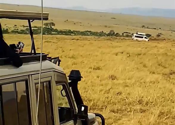 Kenya Wildlife Safari