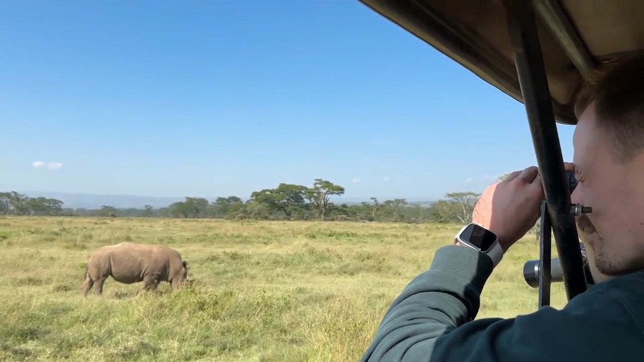 Meet a Rhino during the Safari in Kenya