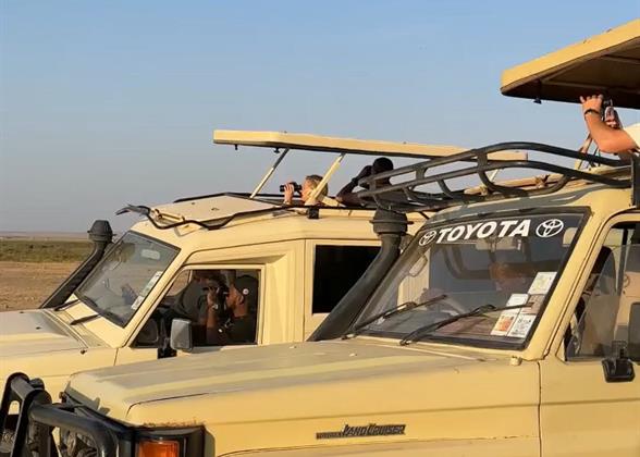 Safari in Kenya