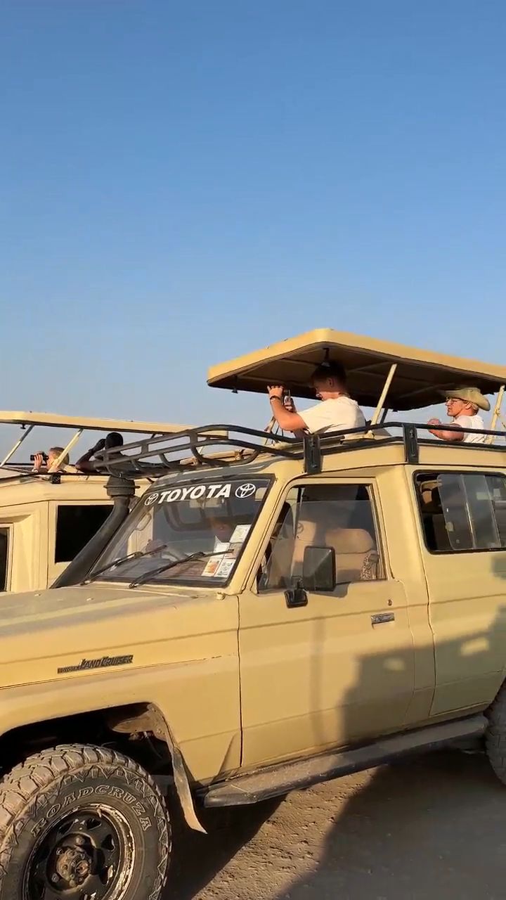 Safari in Kenya