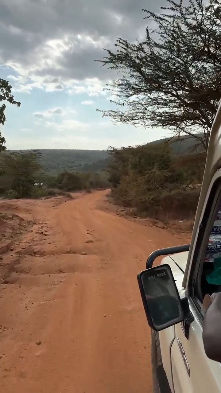 A Herd of Sheep on the Way to Masai Mara