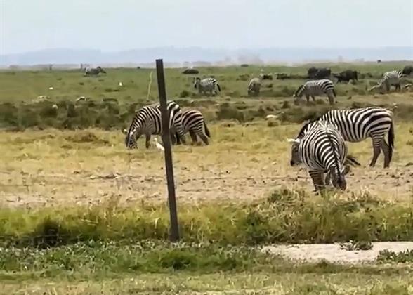 A Lodge in Kenya