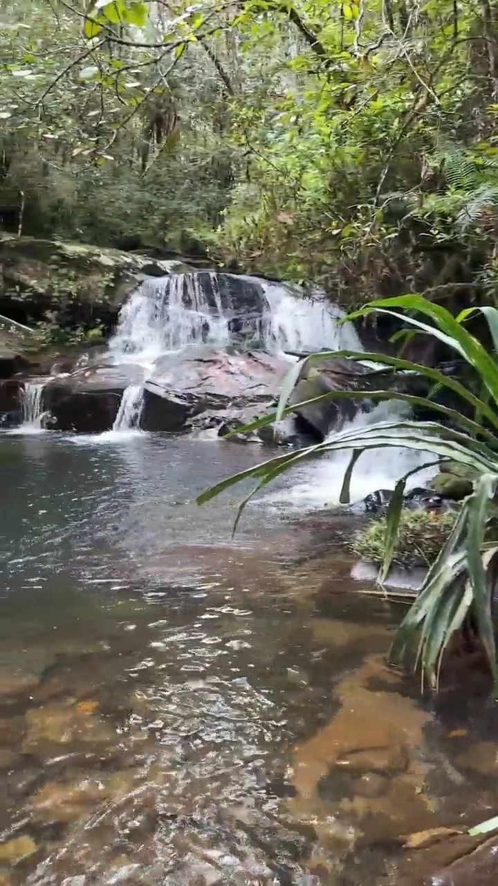 Mantadia National Park in Madagascar