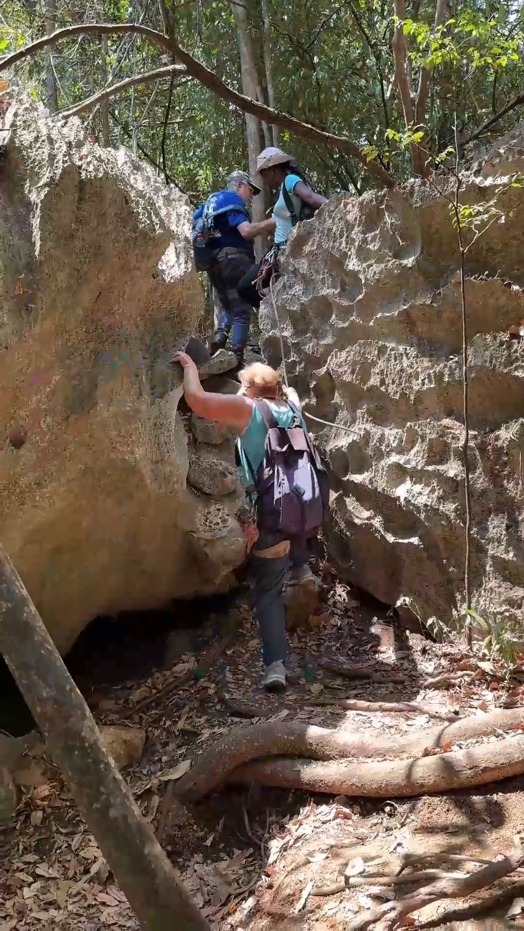 Rock Climbing Adventure at the Great Tsingy