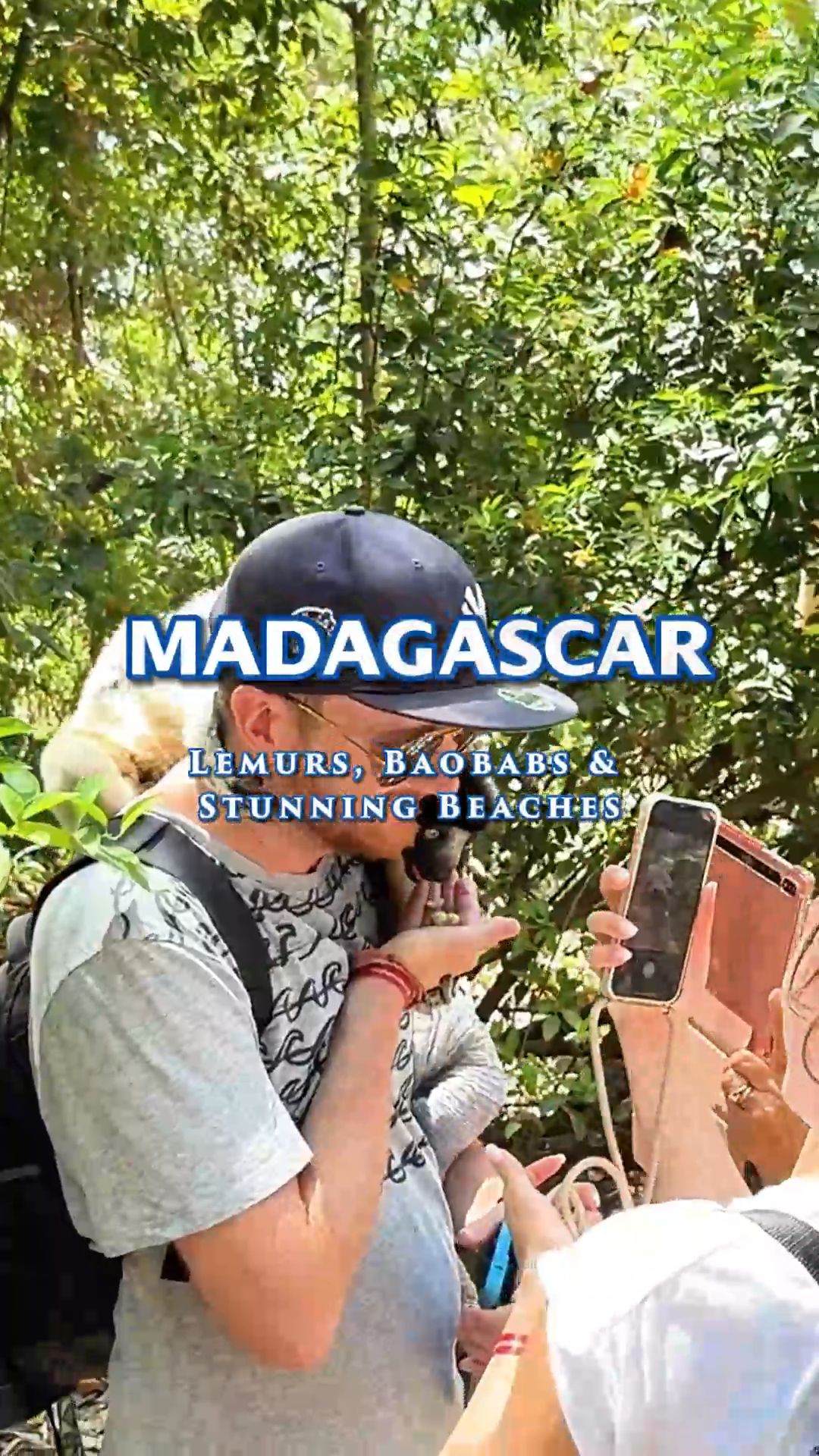 Wonders of Madagascar