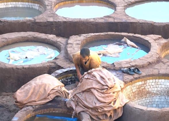 Tannery in Fez