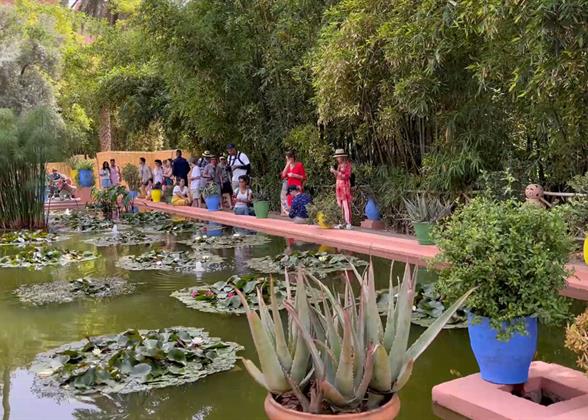 Majorelle Garden, Marrakech