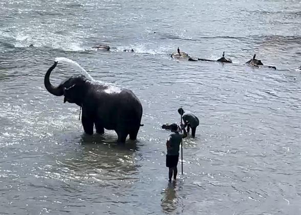 Sri Lanka Best Tours