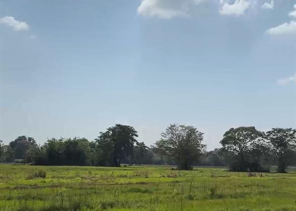 Rural Village of Hiriwadunna, Sigiriya
