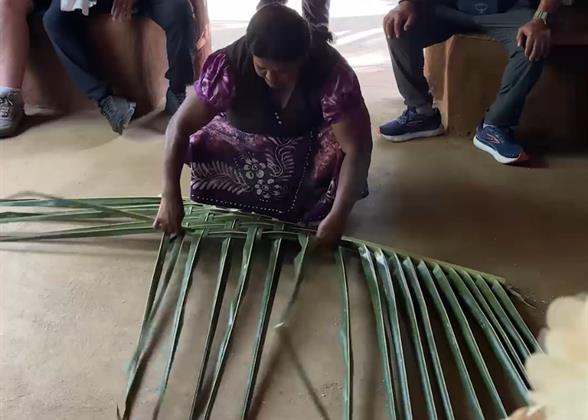 Making Traditional Palm Roof, Hiriwadunna Village