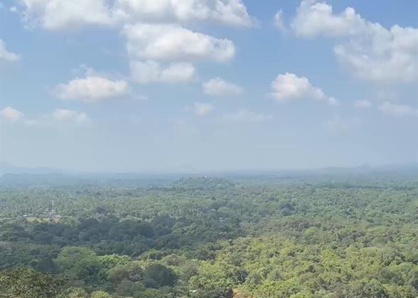 On the Hillside of Sigiriya Rock Fortress
