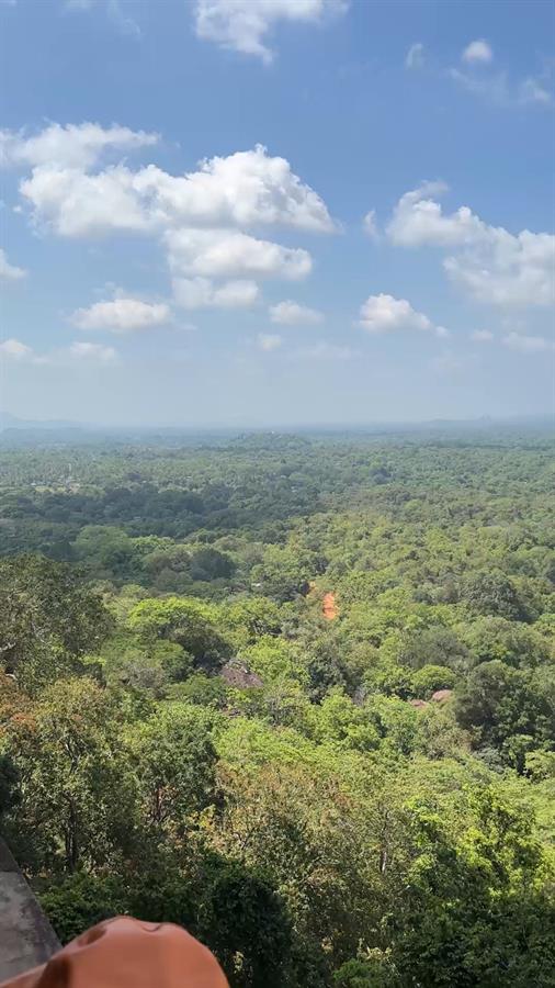 On the Hillside of Sigiriya Rock Fortress