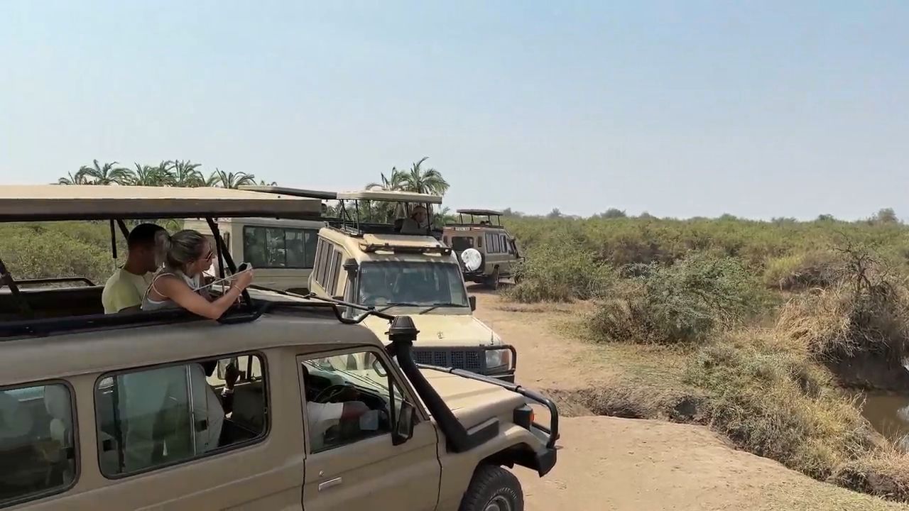 Safari in Serengeti National Park