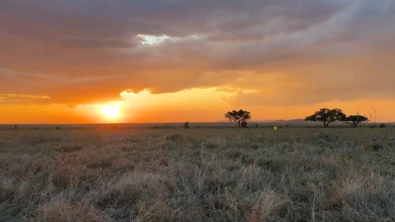 Safari in Tanzania