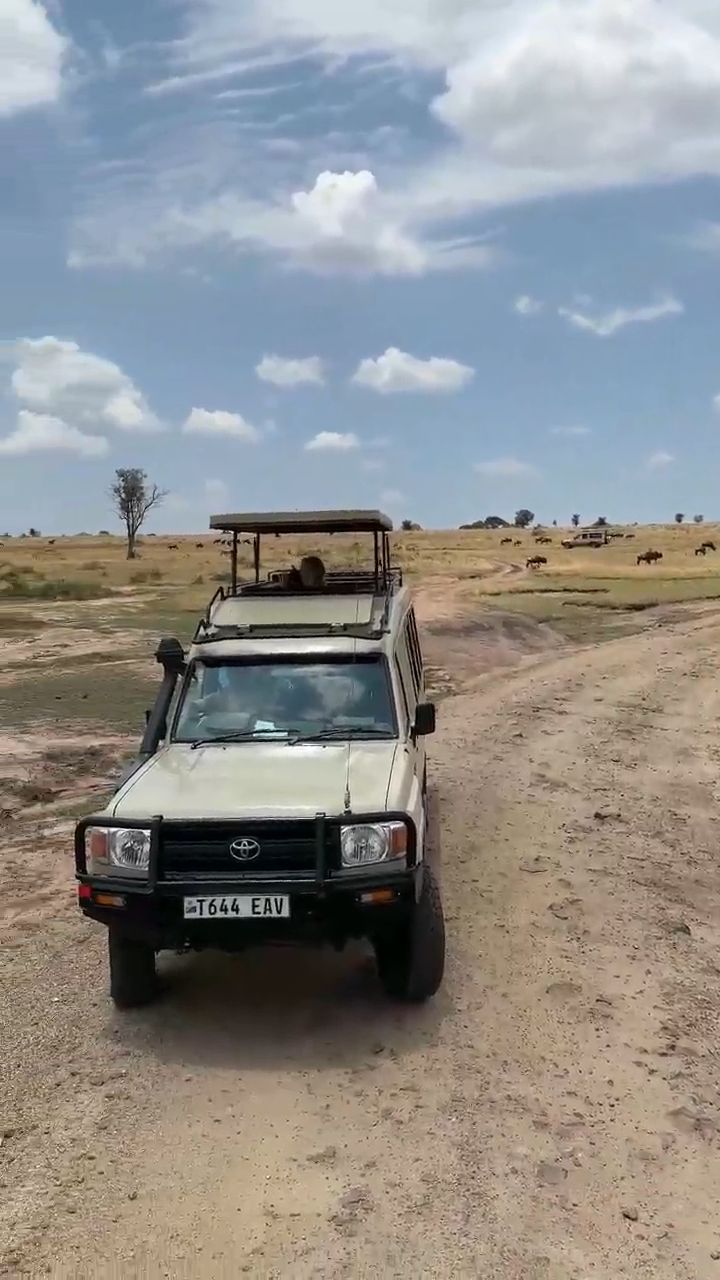 Tanzania Safari